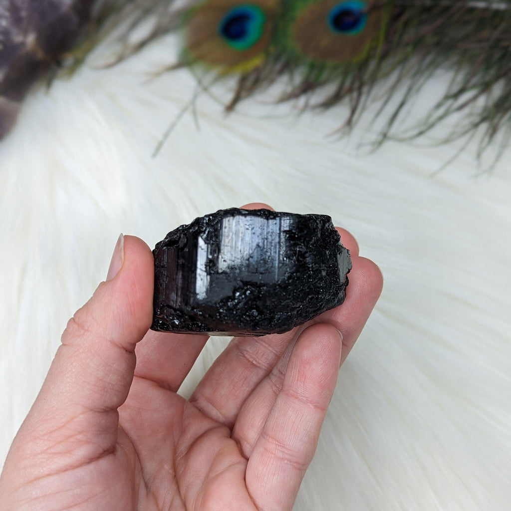 Black Tourmaline AA Gemmy Crystal Specimen - Earth Family Crystals