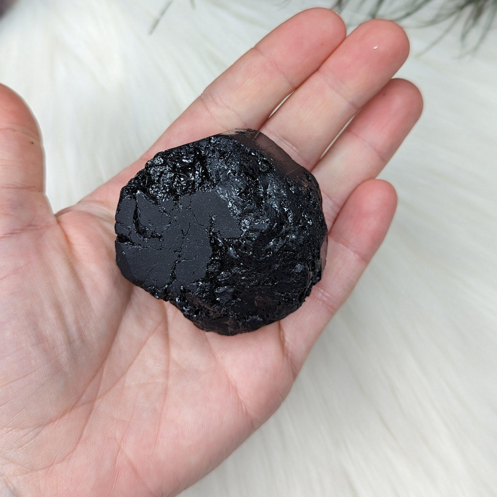 Black Tourmaline AA Gemmy Crystal Specimen - Earth Family Crystals