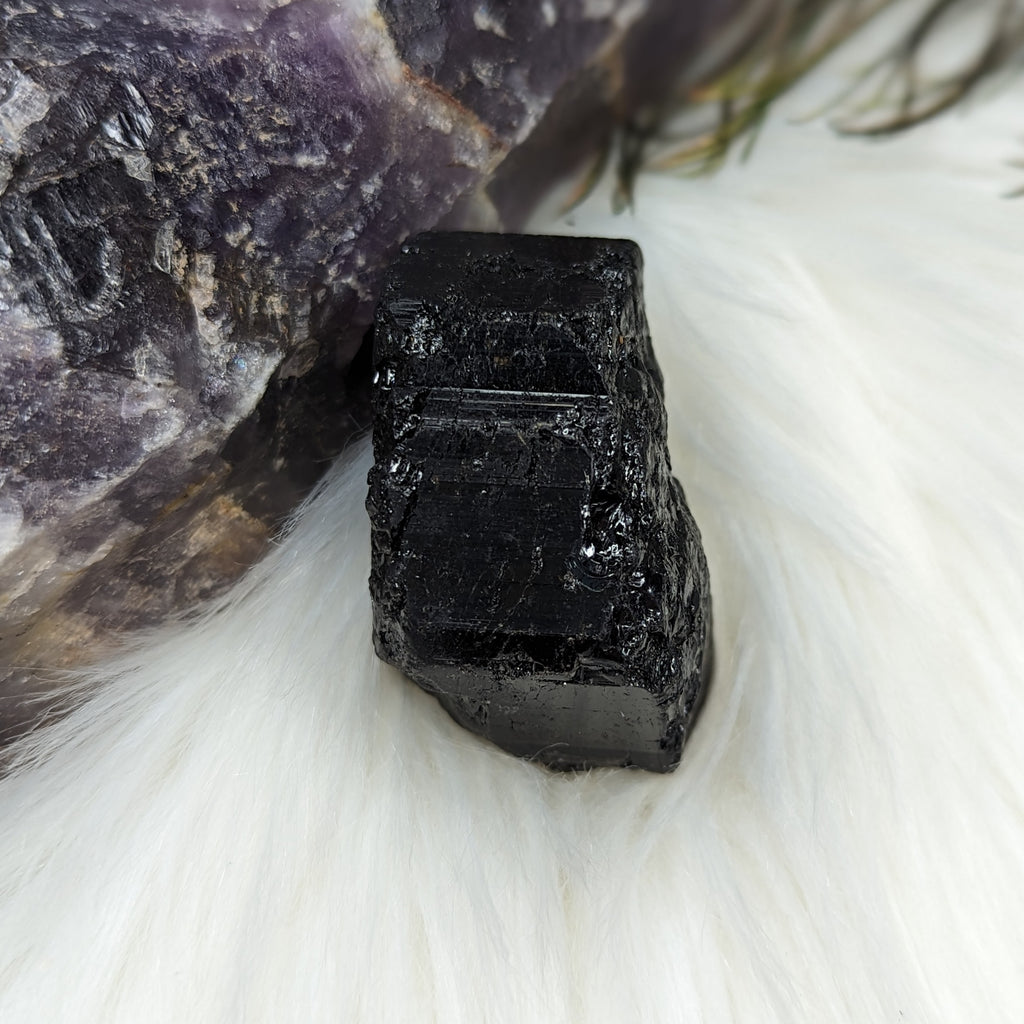 Black Tourmaline AA Gemmy Crystal Specimen - Earth Family Crystals