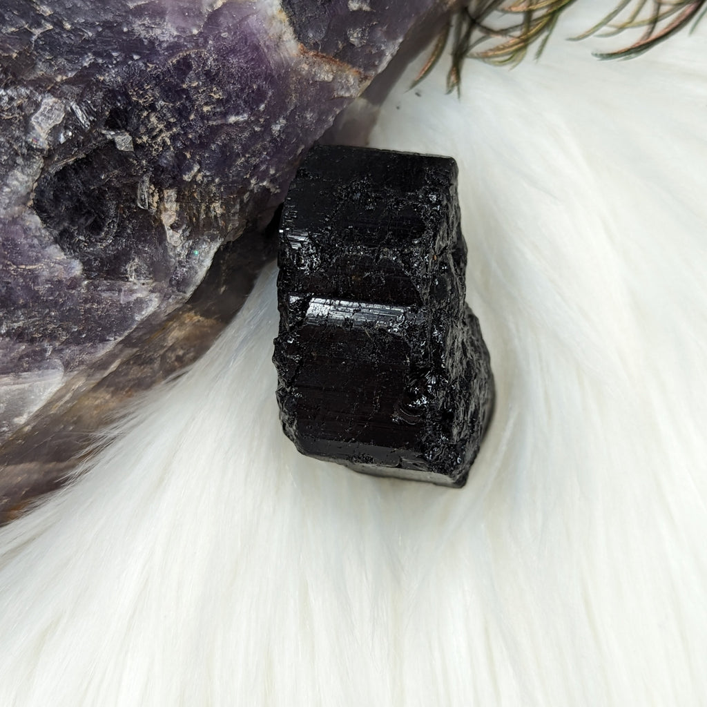 Black Tourmaline AA Gemmy Crystal Specimen - Earth Family Crystals