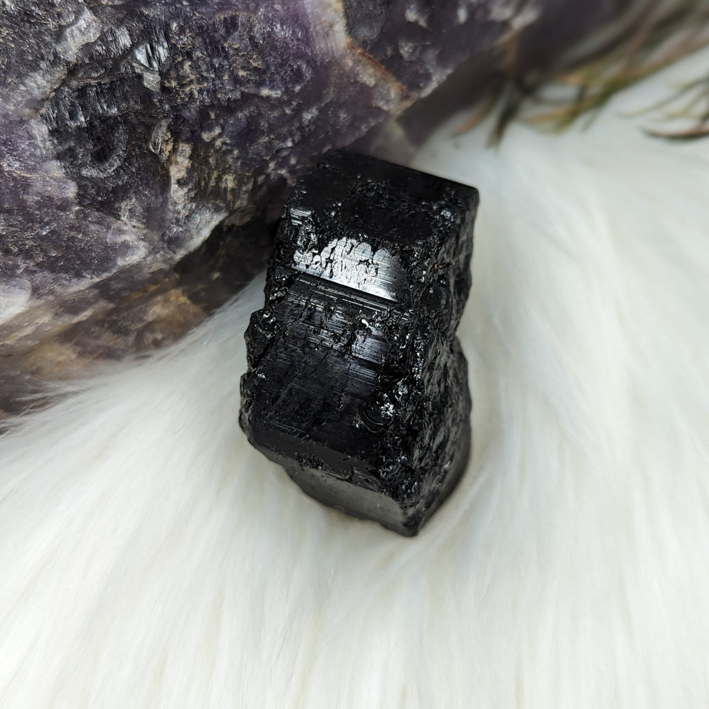 Black Tourmaline AA Gemmy Crystal Specimen - Earth Family Crystals