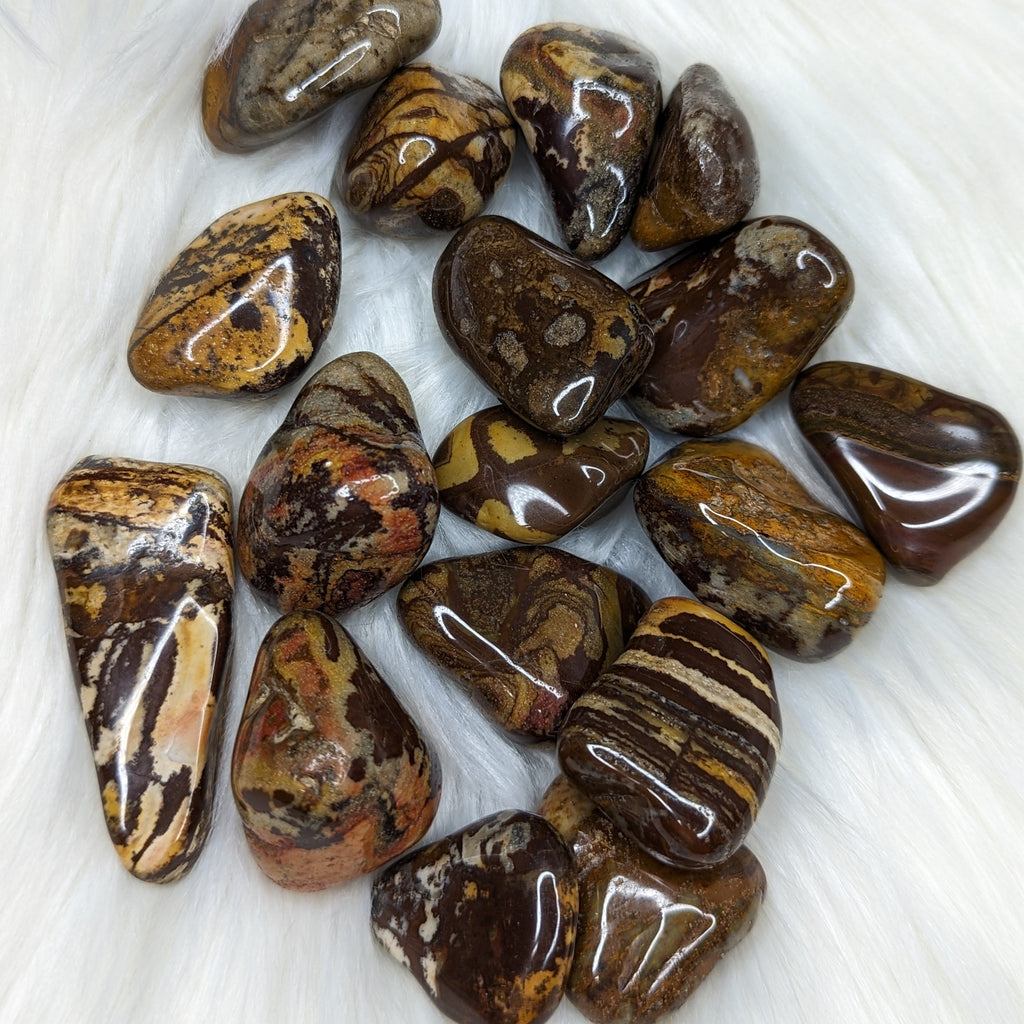 Nguni Jasper Set of 5 Tumbled Stones~ Local : South Africa - Earth Family Crystals