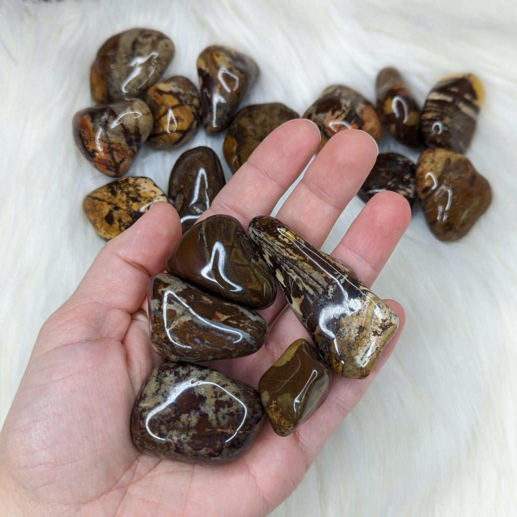 Nguni Jasper Set of 5 Tumbled Stones~ Local : South Africa - Earth Family Crystals