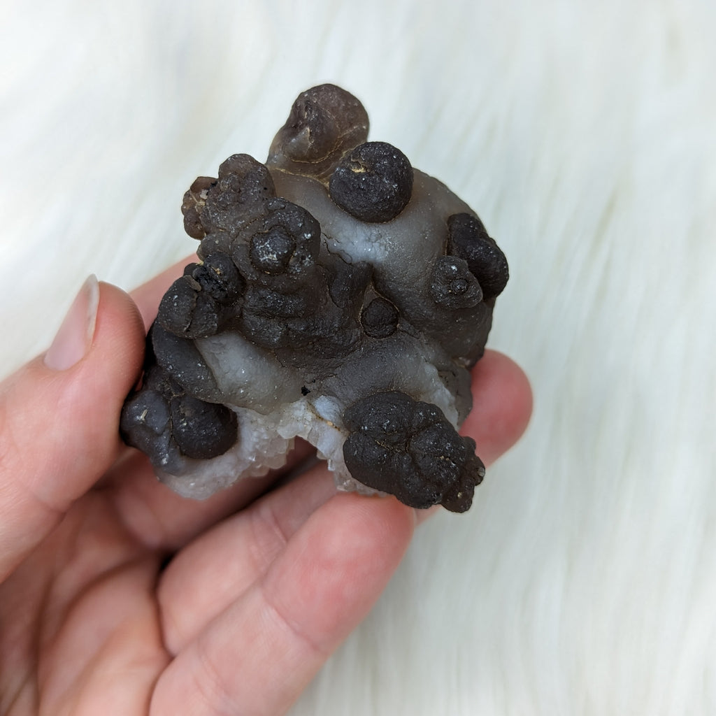 Truffle Chalcedony Specimens ~ Small Specimens from Morocco - Earth Family Crystals