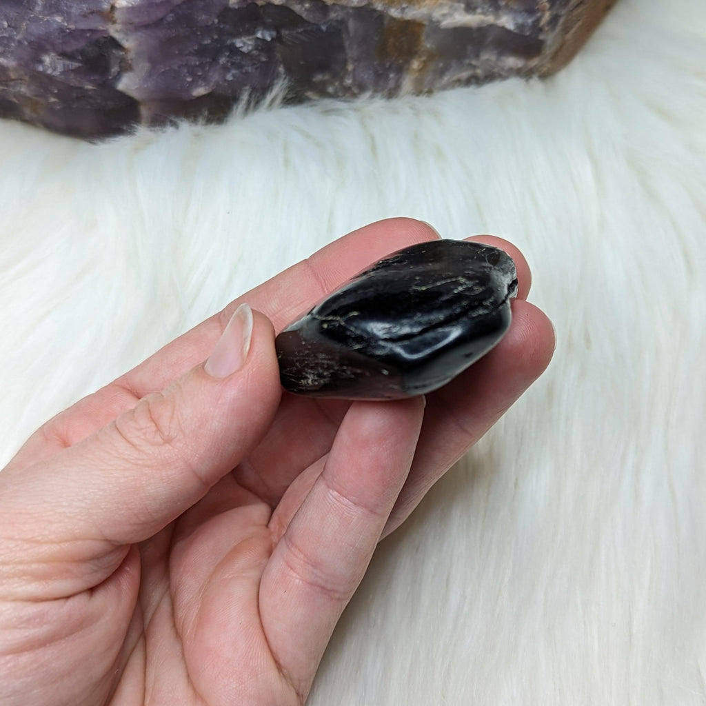 Jet Specimen ~ From the U.S.A - Earth Family Crystals