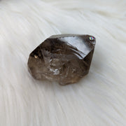 Smoky Quartz Rough Point from Zambia ~ Rainbows at the Tip! - Earth Family Crystals