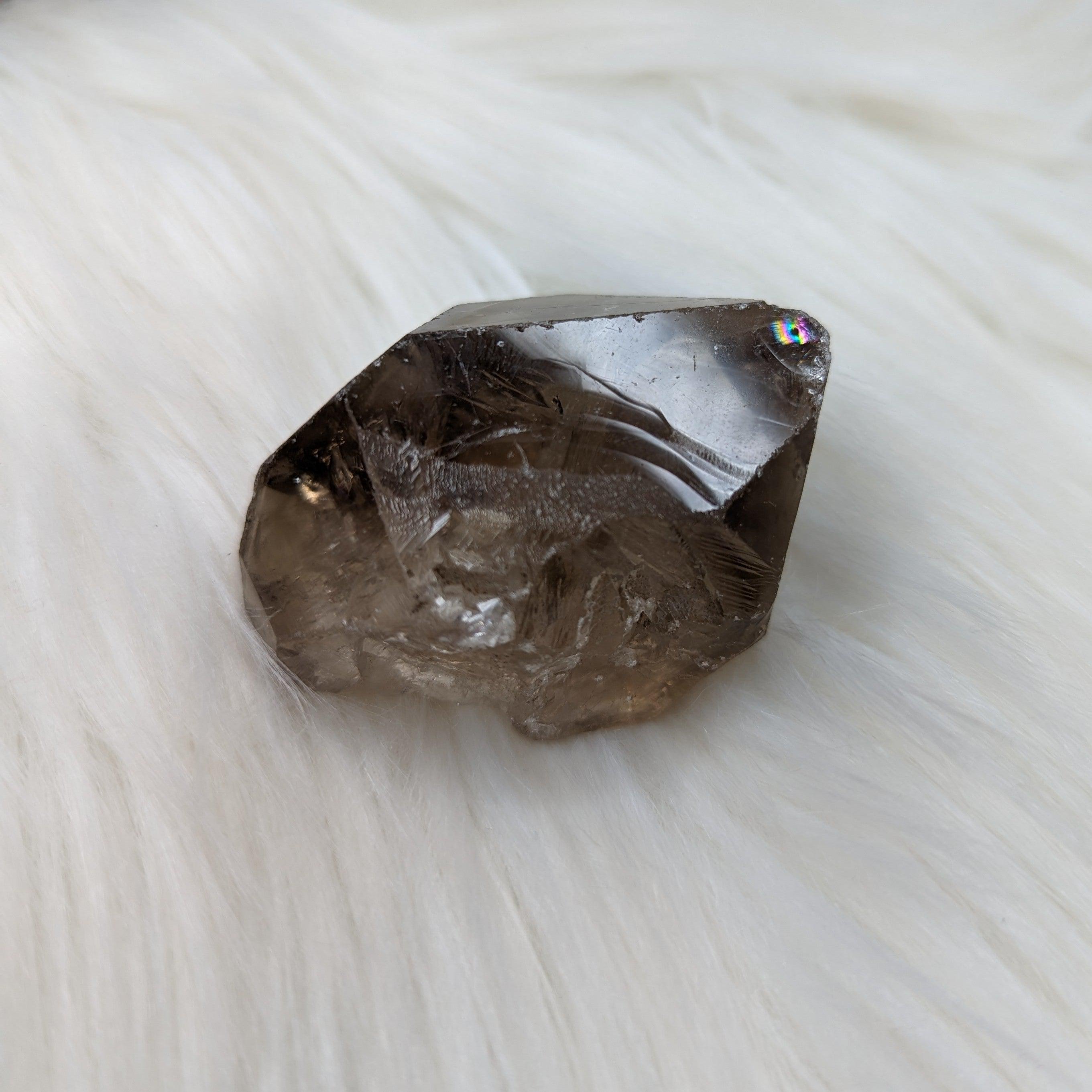 Smoky Quartz Rough Point from Zambia ~ Rainbows at the Tip! - Earth Family Crystals