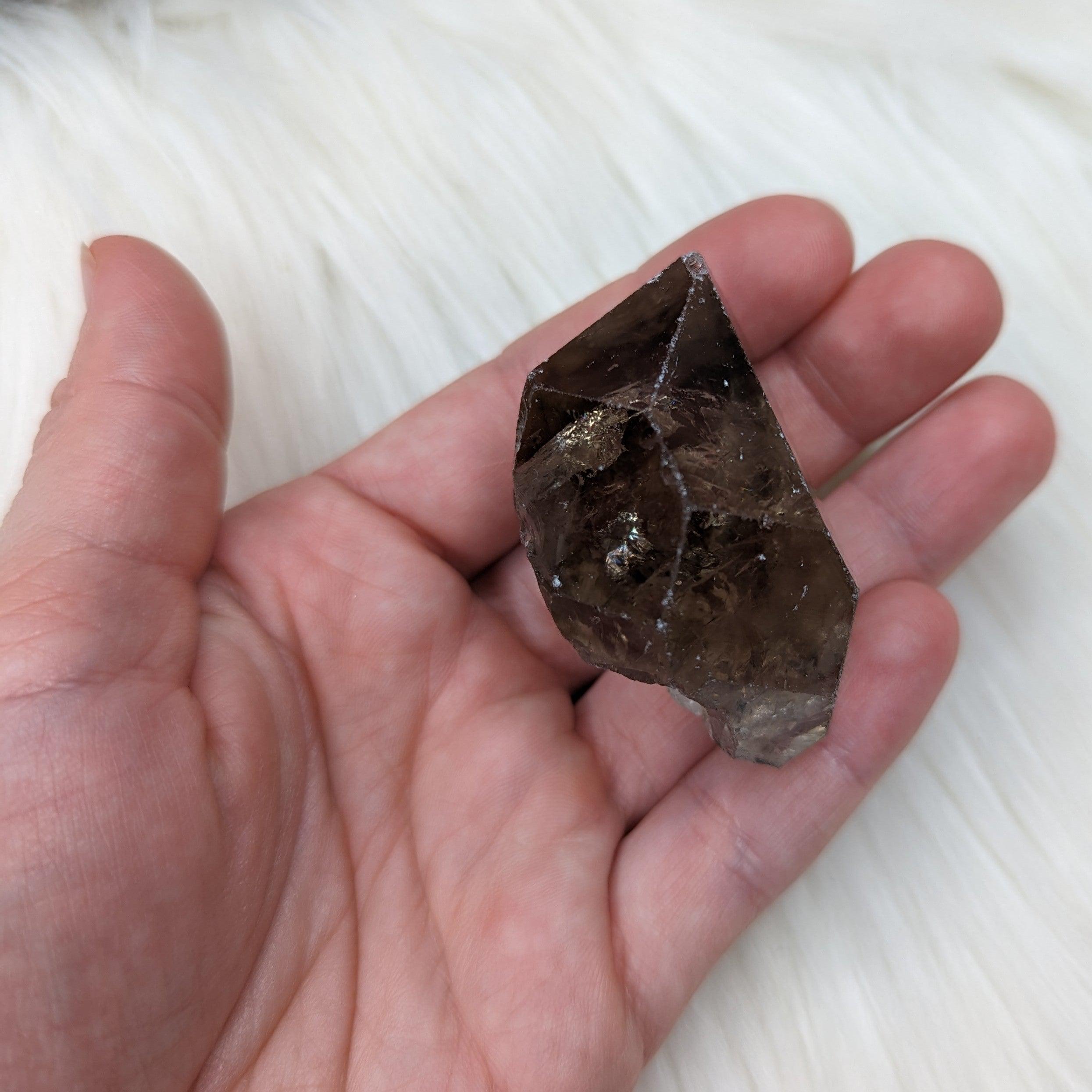 Smoky Quartz Rough Point from Zambia ~ Rainbows at the Tip! - Earth Family Crystals
