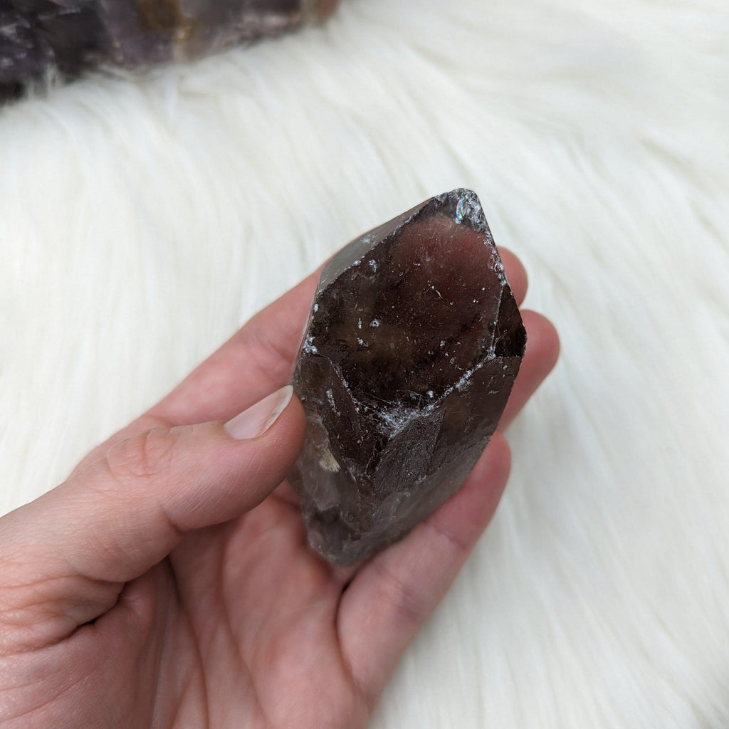 Smoky Quartz Rough Point from Zambia ~ Protective and Grounding ~ - Earth Family Crystals