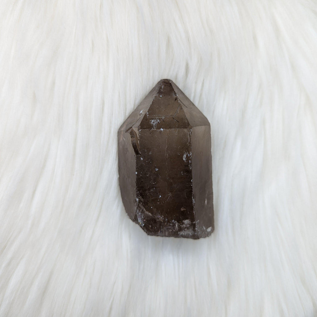 Smoky Quartz Rough Point from Zambia ~Spiritually Stabilizing Point ~ - Earth Family Crystals