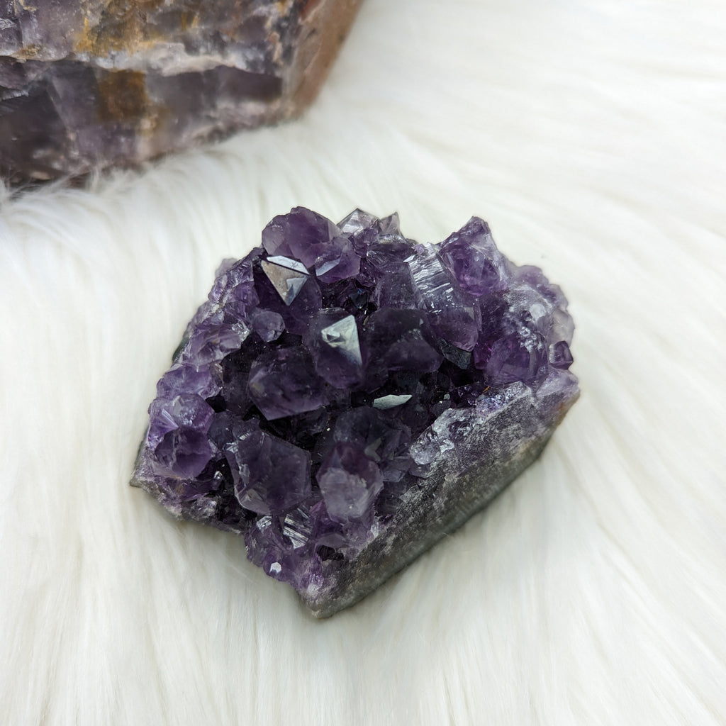 Amethyst Cluster ~ Lustrious Purple Sparkle! - Earth Family Crystals