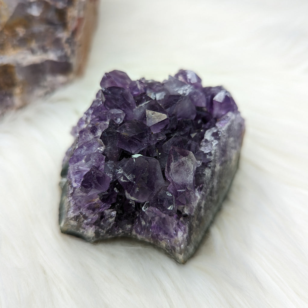 Amethyst Cluster ~ Lustrious Purple Sparkle! - Earth Family Crystals