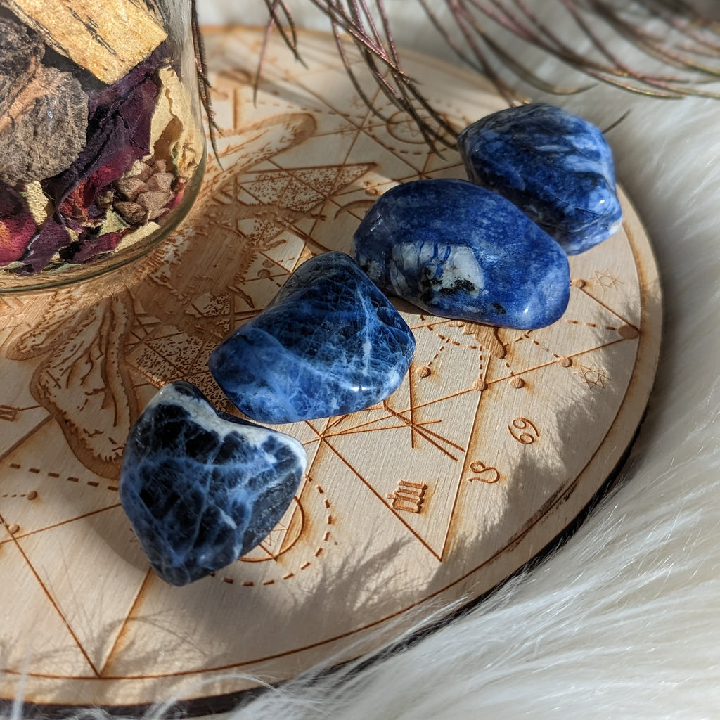 Incredible Grade A Blue Sodalite Tumbled Stones ~ Set of 4 - Earth Family Crystals