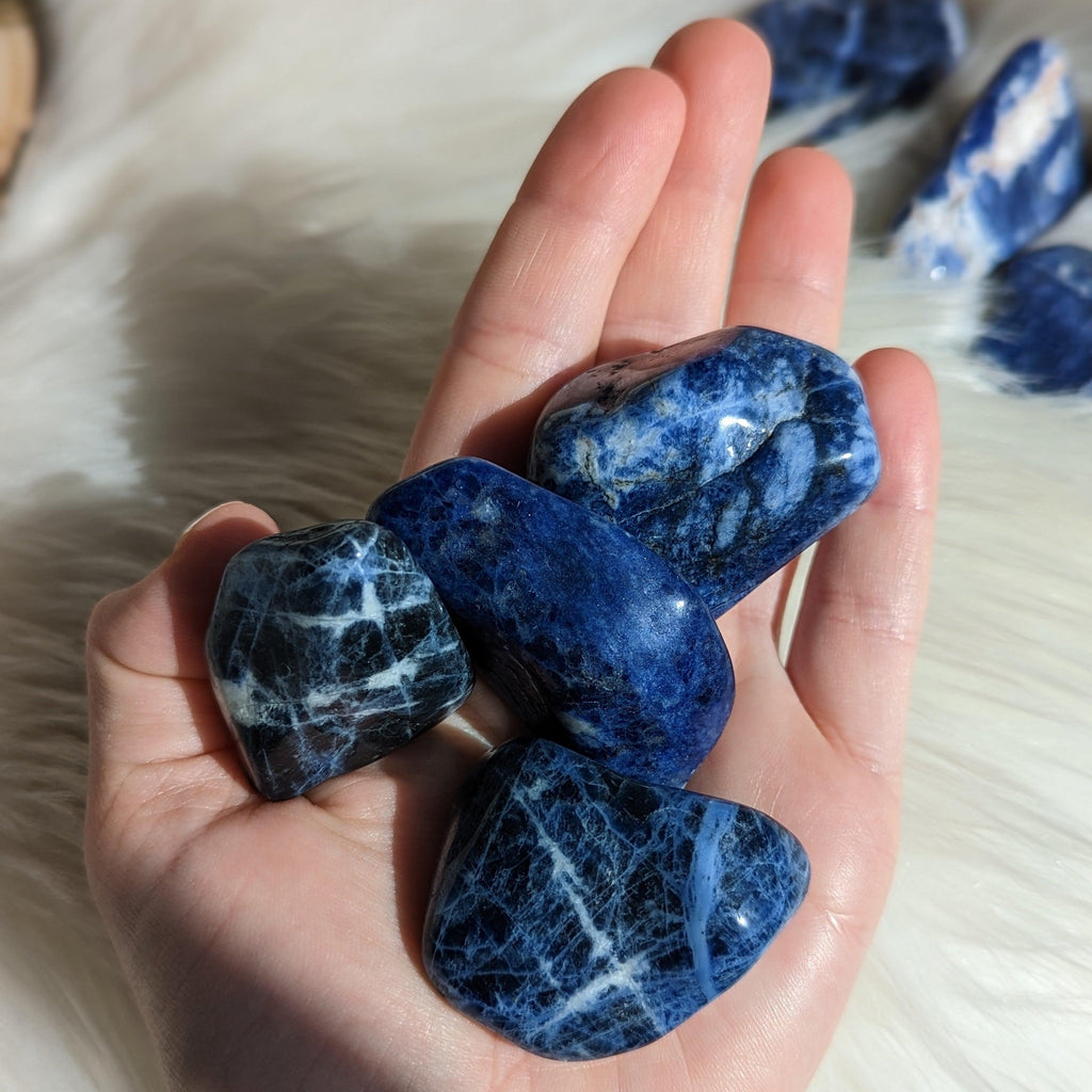 Incredible Grade A Blue Sodalite Tumbled Stones ~ Set of 4 - Earth Family Crystals