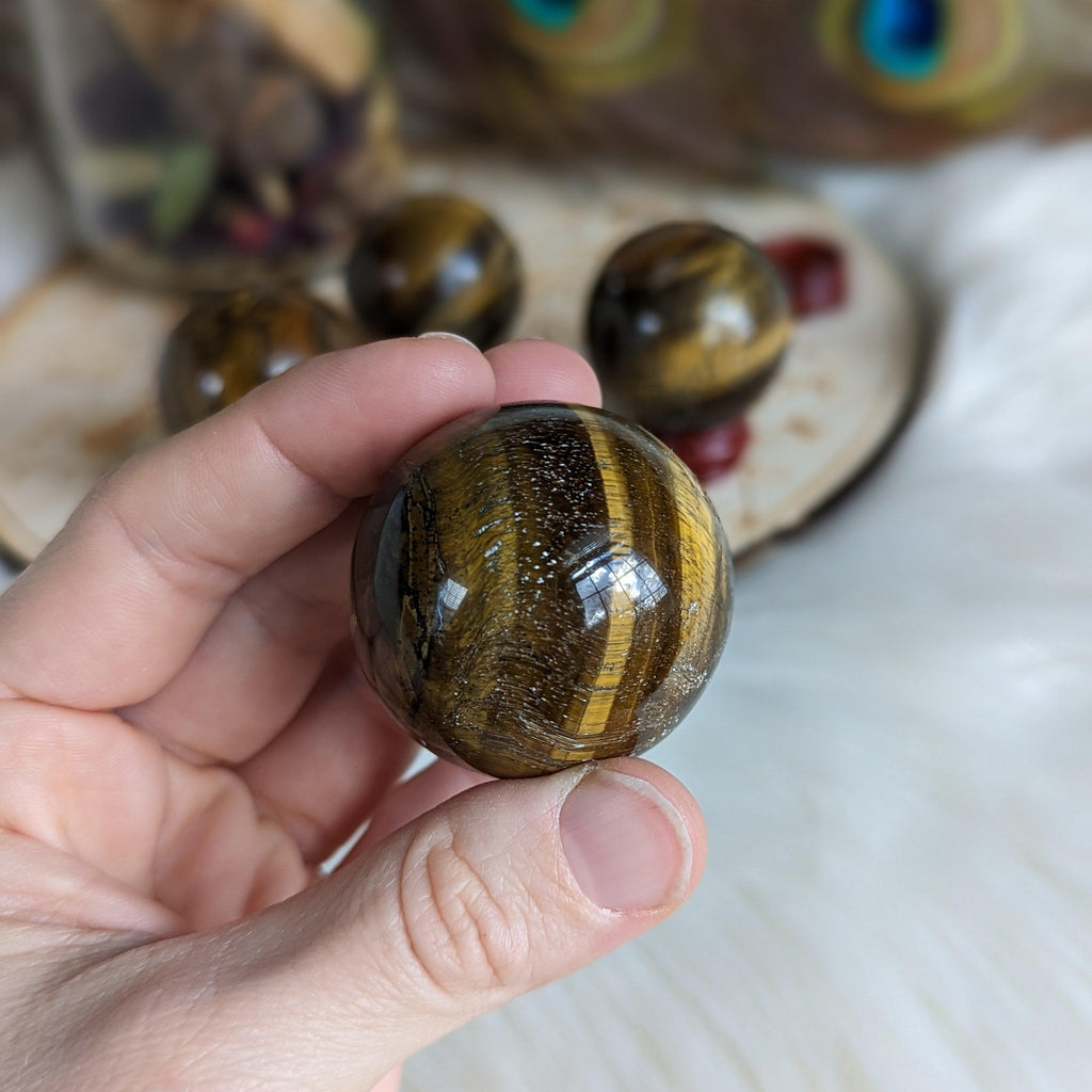 Tigers Eye Sphere ~ Sun and Earth Elements - Earth Family Crystals