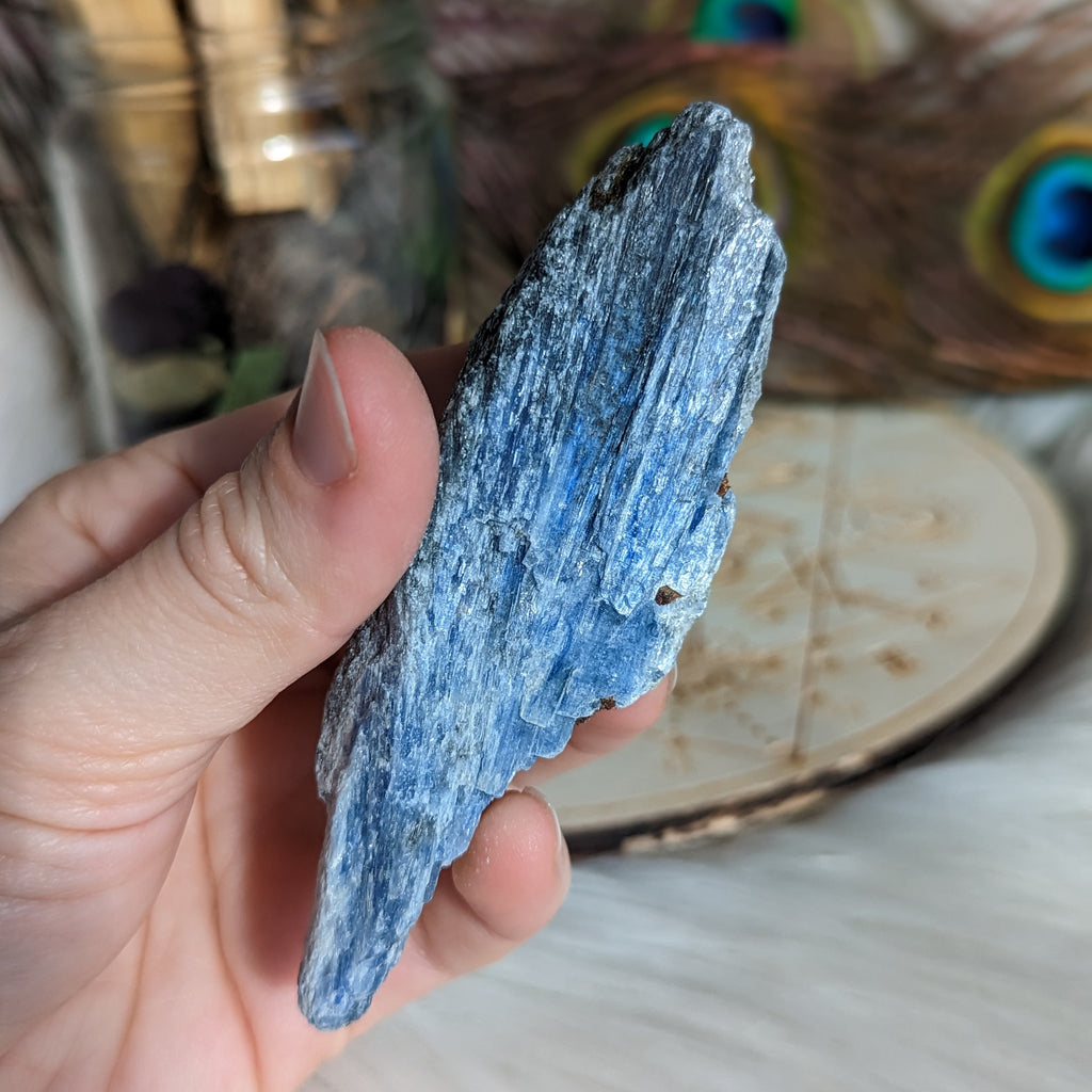 Gemmy Blue Kyanite in Matrix - Earth Family Crystals