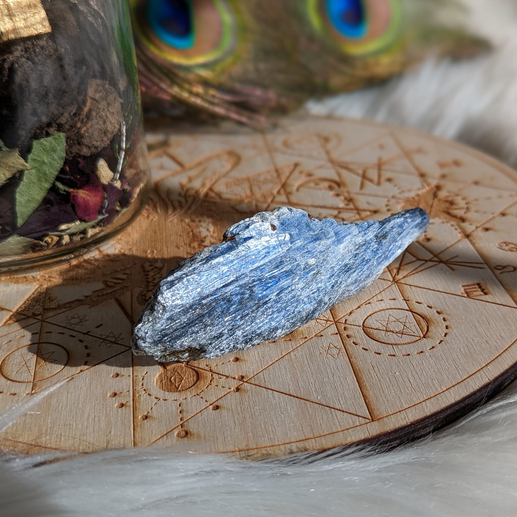 Gemmy Blue Kyanite in Matrix - Earth Family Crystals