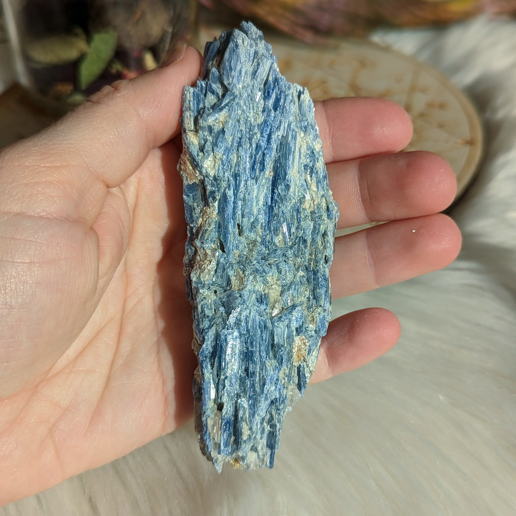 Sparkling Blue Kyanite in Matrix - Earth Family Crystals