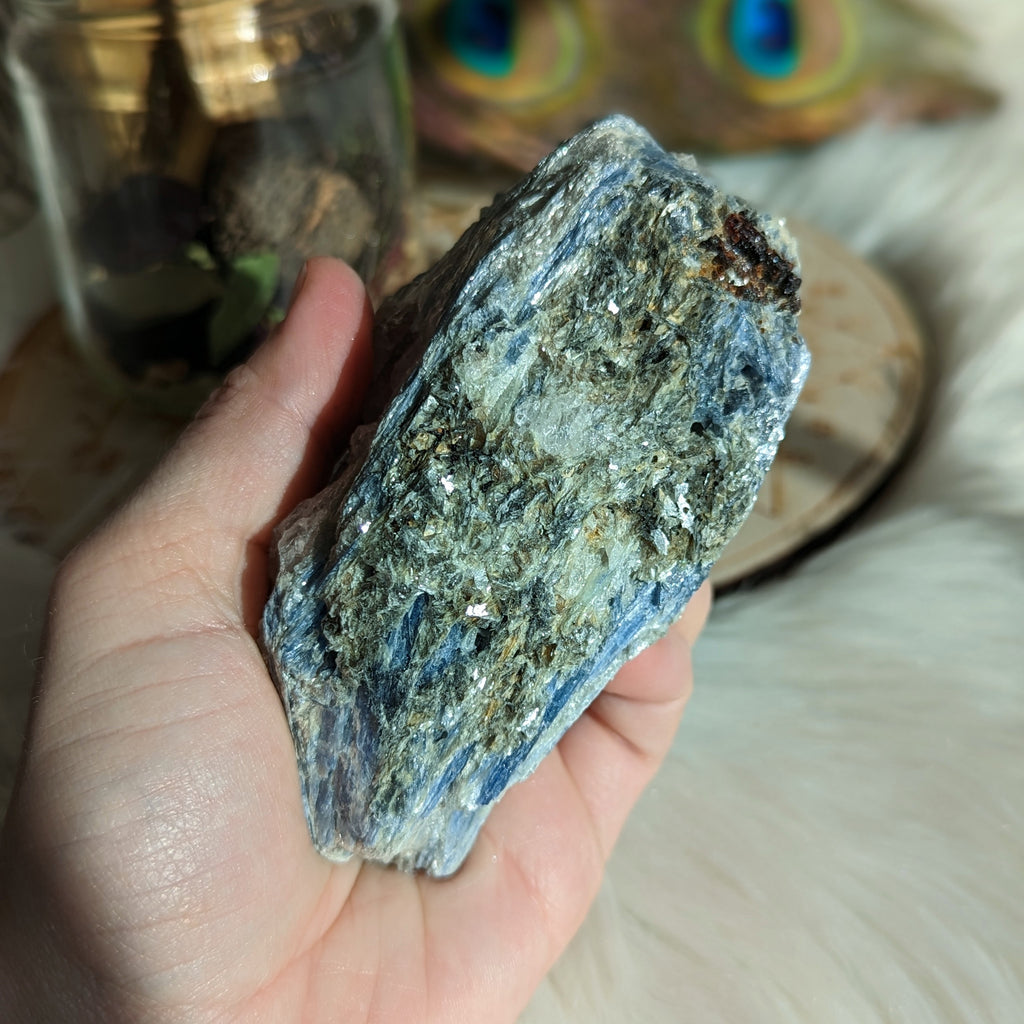 Hunky Blue Kyanite in Matrix - Earth Family Crystals