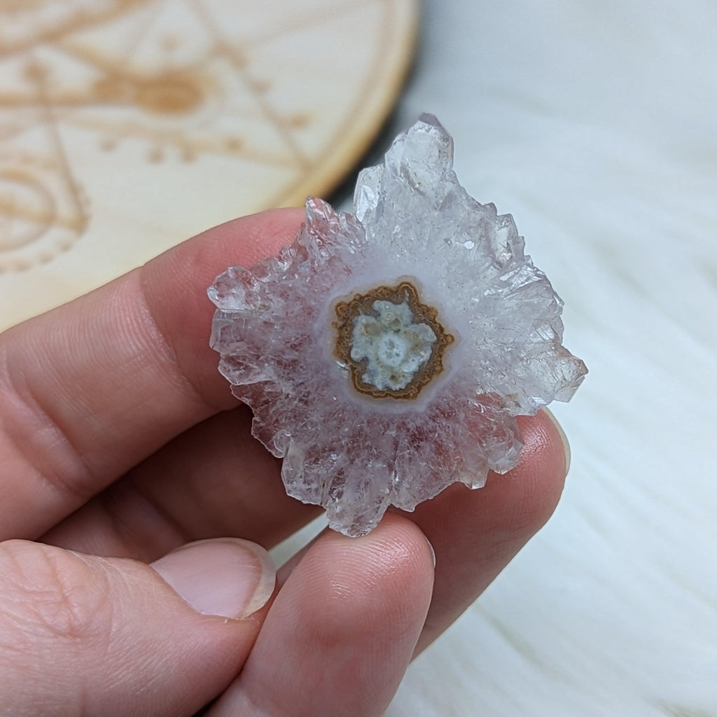 Amethyst Stalactite Slice Specimen #1 ~ Expansion of the Higher Self - Earth Family Crystals