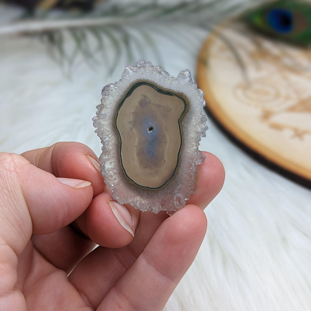 Amethyst Stalactite Slice Specimen #5 ~ Expansion of the Higher Self - Earth Family Crystals