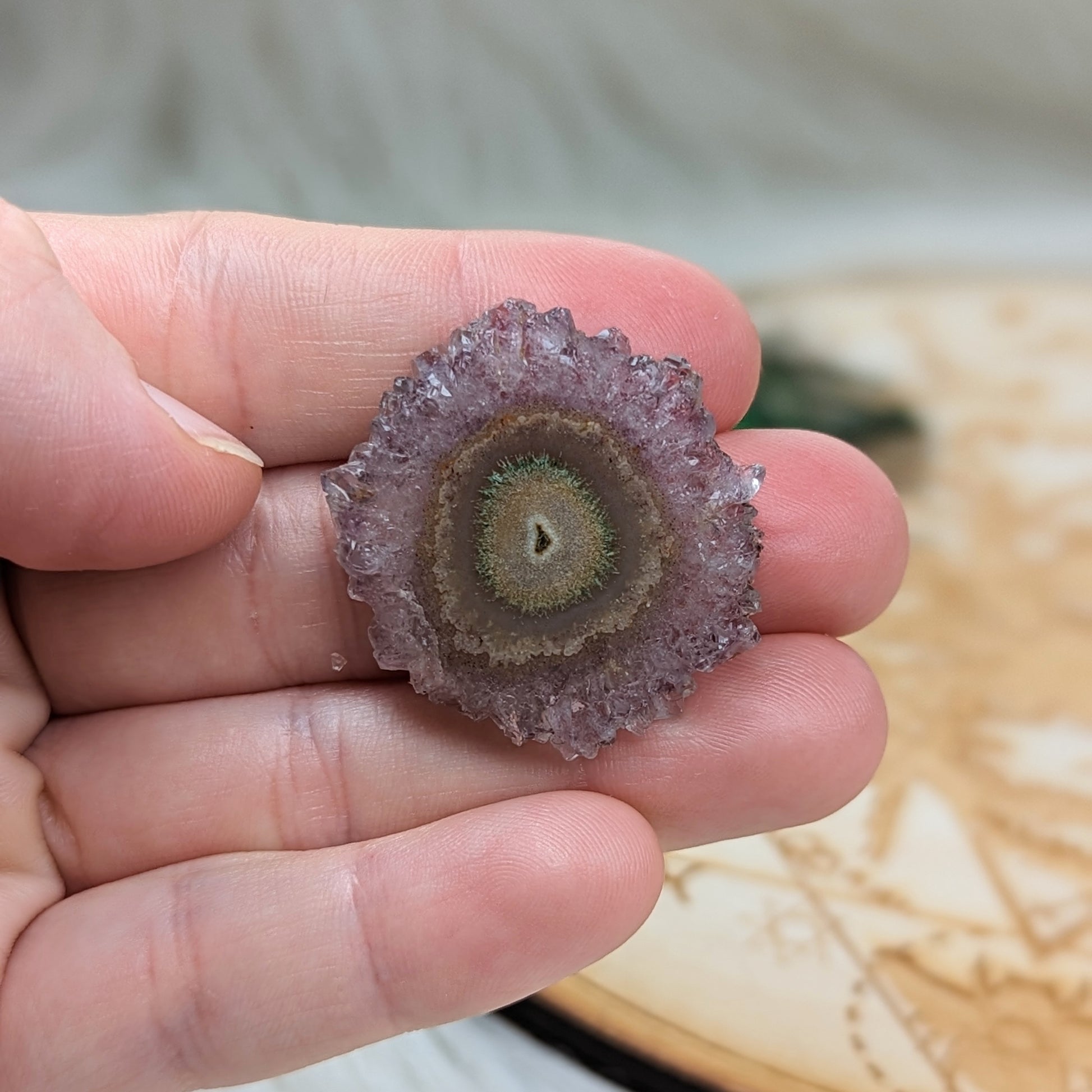 Amethyst Stalactite Slice Specimen #6 ~ Expansion of the Higher Self - Earth Family Crystals