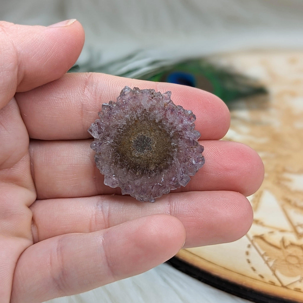 Amethyst Stalactite Slice Specimen #6 ~ Expansion of the Higher Self - Earth Family Crystals