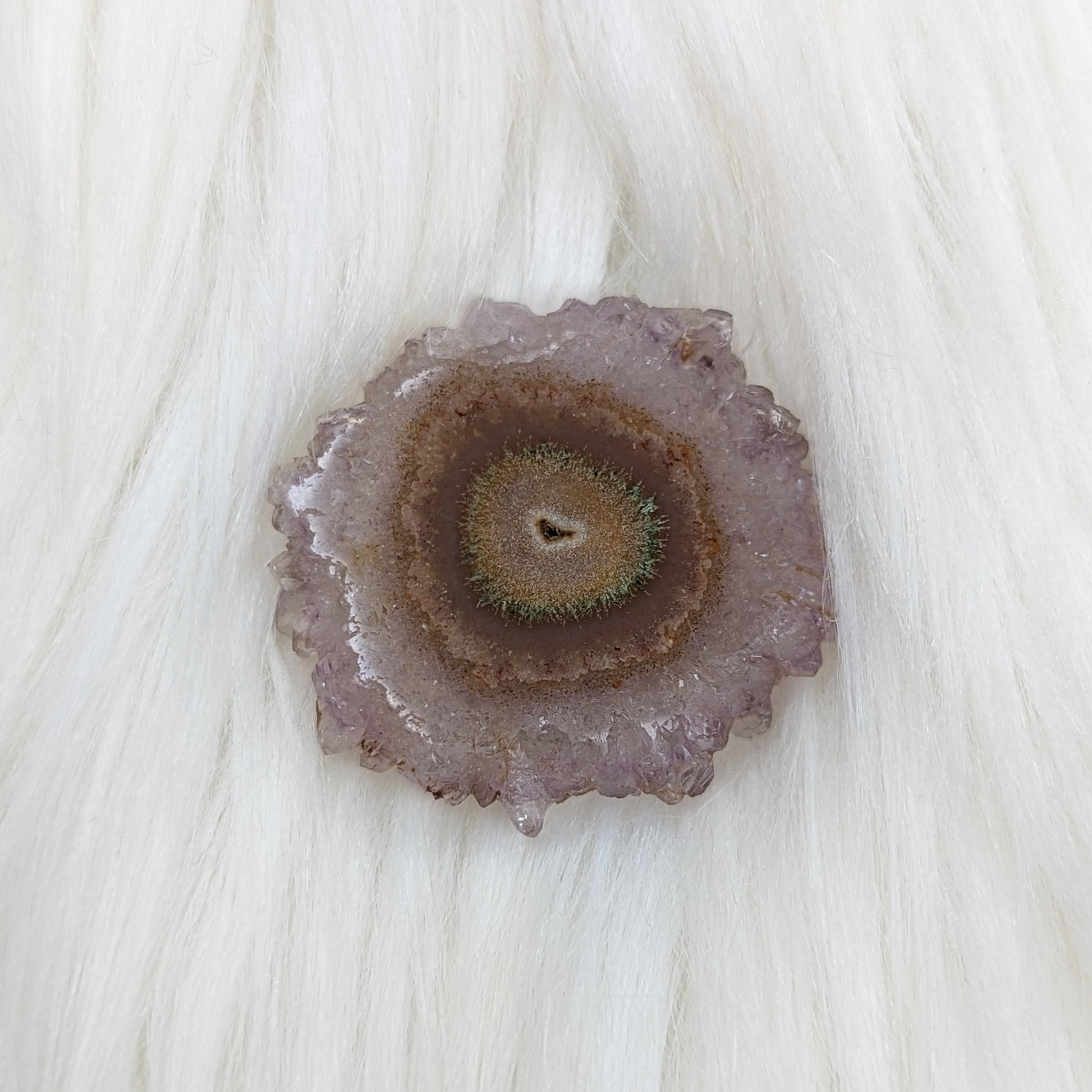 Amethyst Stalactite Slice Specimen #6 ~ Expansion of the Higher Self - Earth Family Crystals