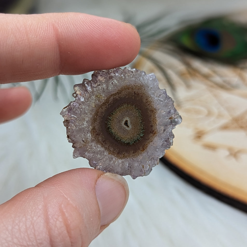 Amethyst Stalactite Slice Specimen #6 ~ Expansion of the Higher Self - Earth Family Crystals