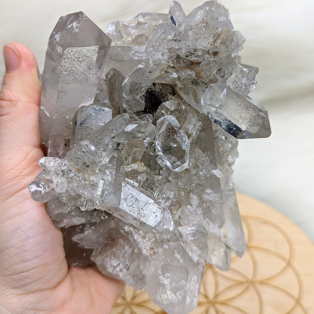 Self- Healed AMAZING Clear Quartz Crystal Cluster with Phantoms~ From Brazil - Earth Family Crystals
