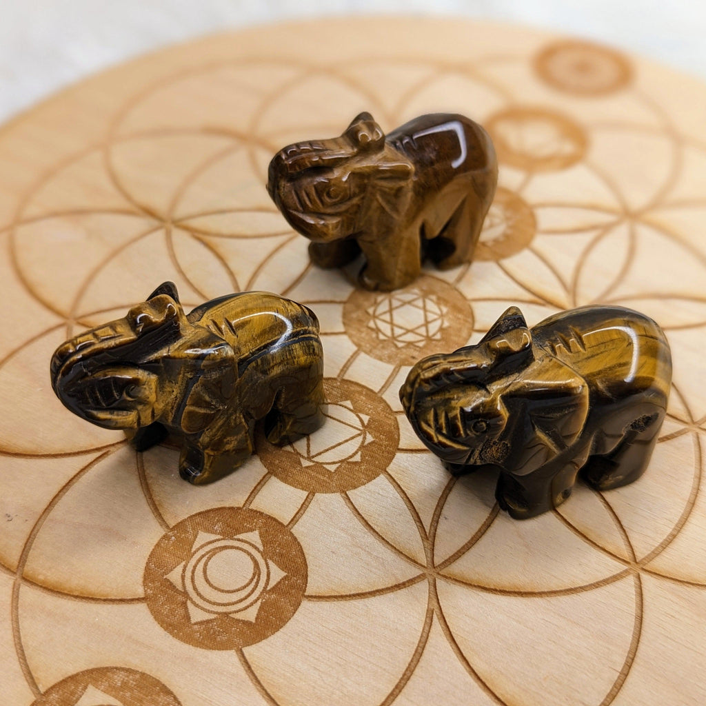 Tiger's Eye Elephant Carvings - Earth Family Crystals