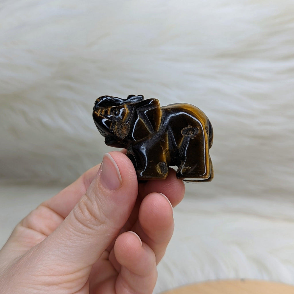 Tiger's Eye Elephant Carvings - Earth Family Crystals