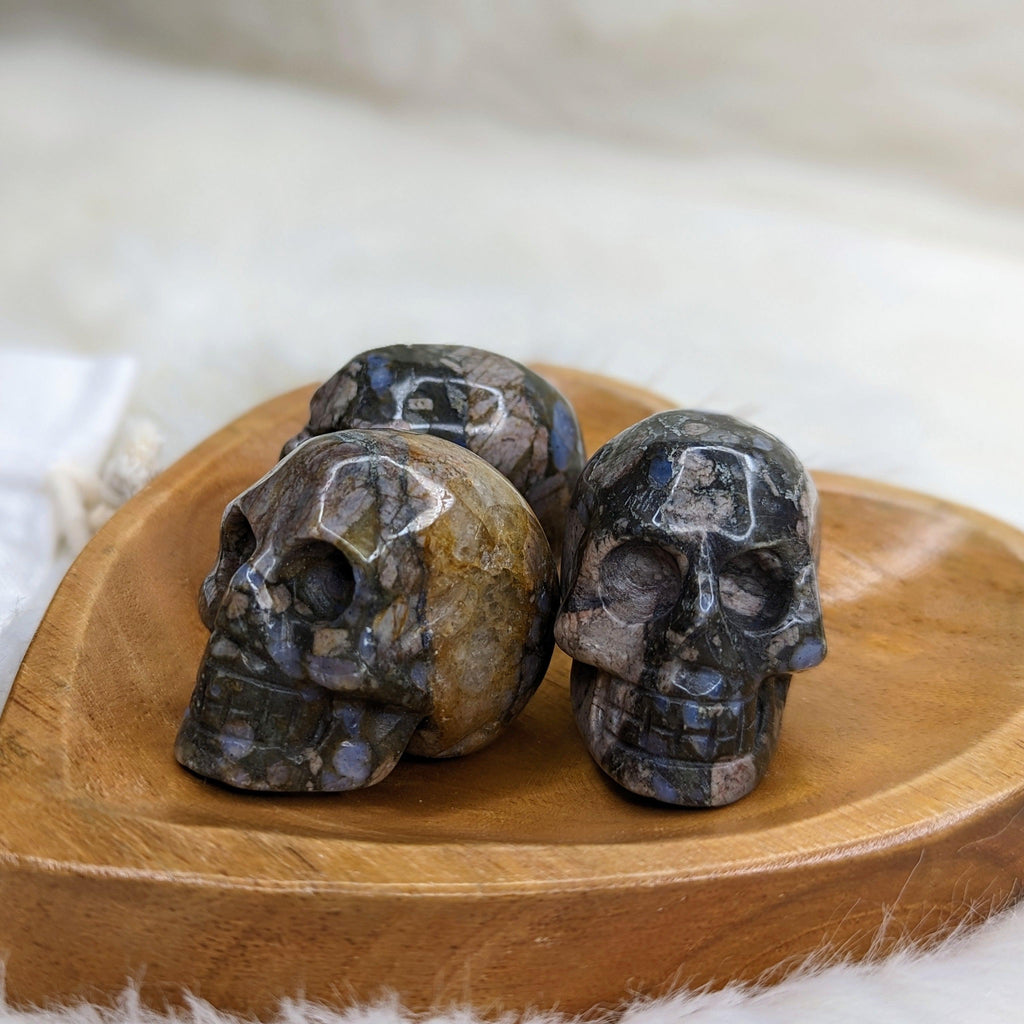 Llanite Skull Carving ~ Unique Energy and Patterns~ - Earth Family Crystals