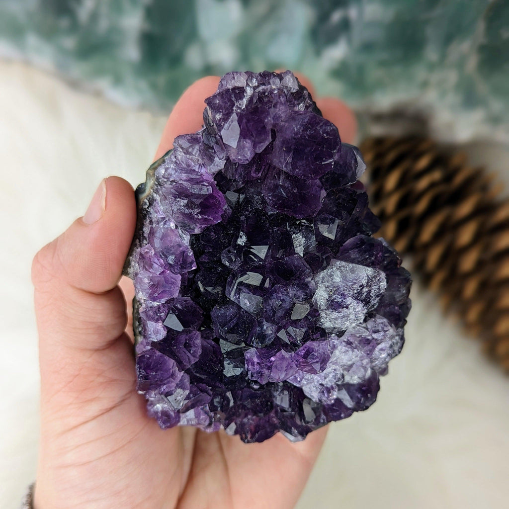 Healing Gemmy and Dark Amethyst Cluster ~ Amazing Sparkle and Shimmer! - Earth Family Crystals