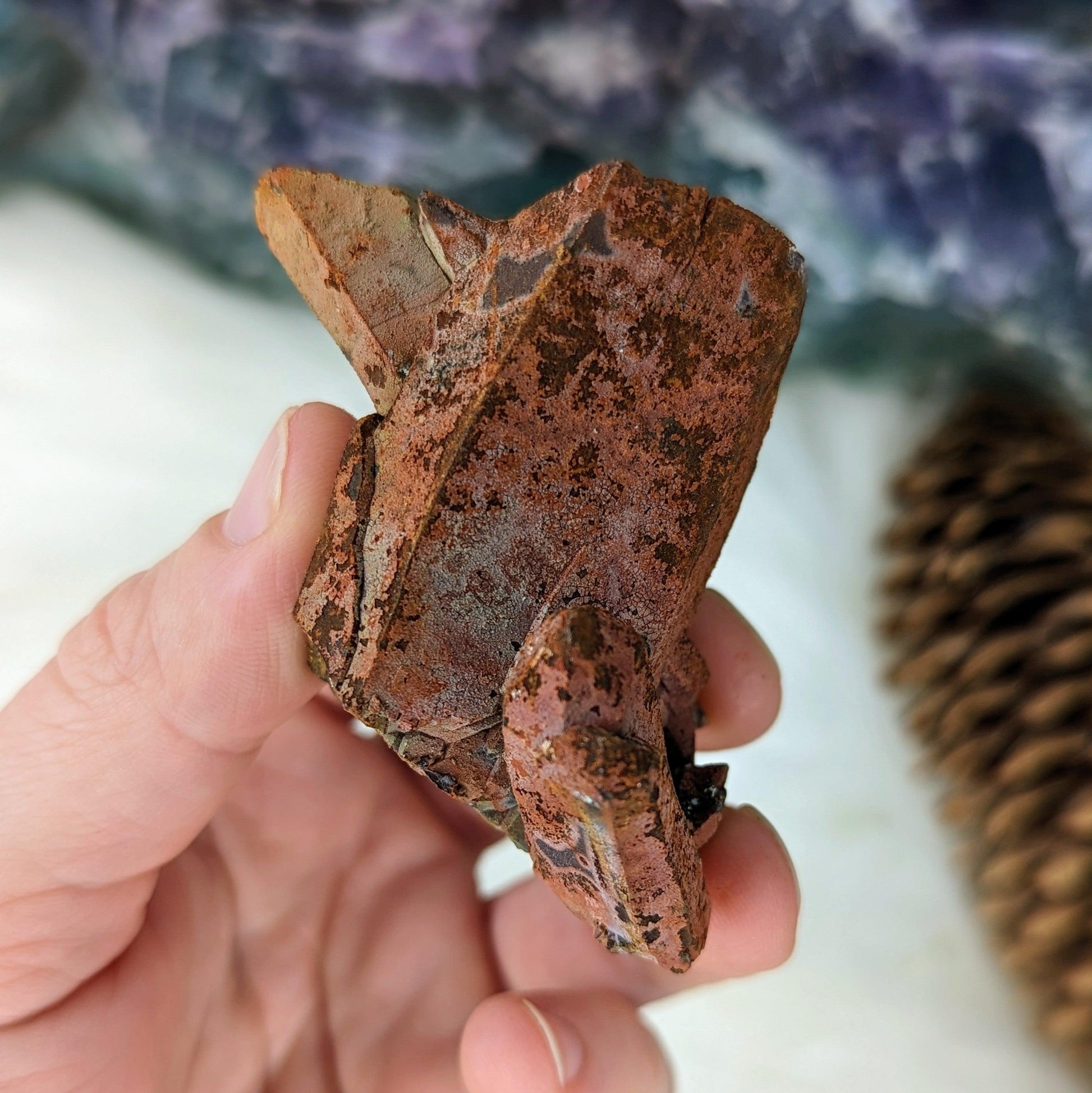 Very Interesting and Unique Specimen~ Hematoid Quartz Cluster from Madagascar~ Fire Quartz for Chakra Balancing - Earth Family Crystals