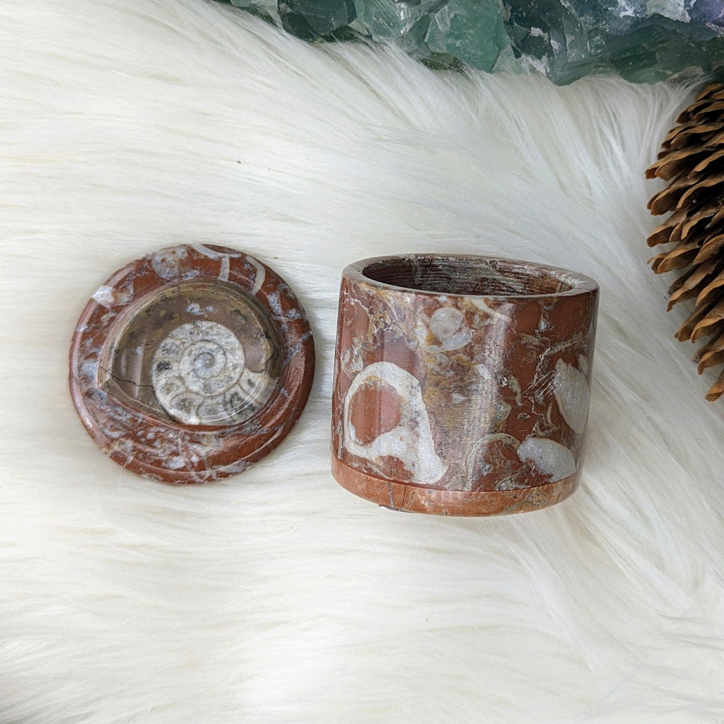 Polished Goniatite Natural Fossil Jewelry and Trinket Box~ Charge with Earth and Cosmic Healing Energies - Earth Family Crystals