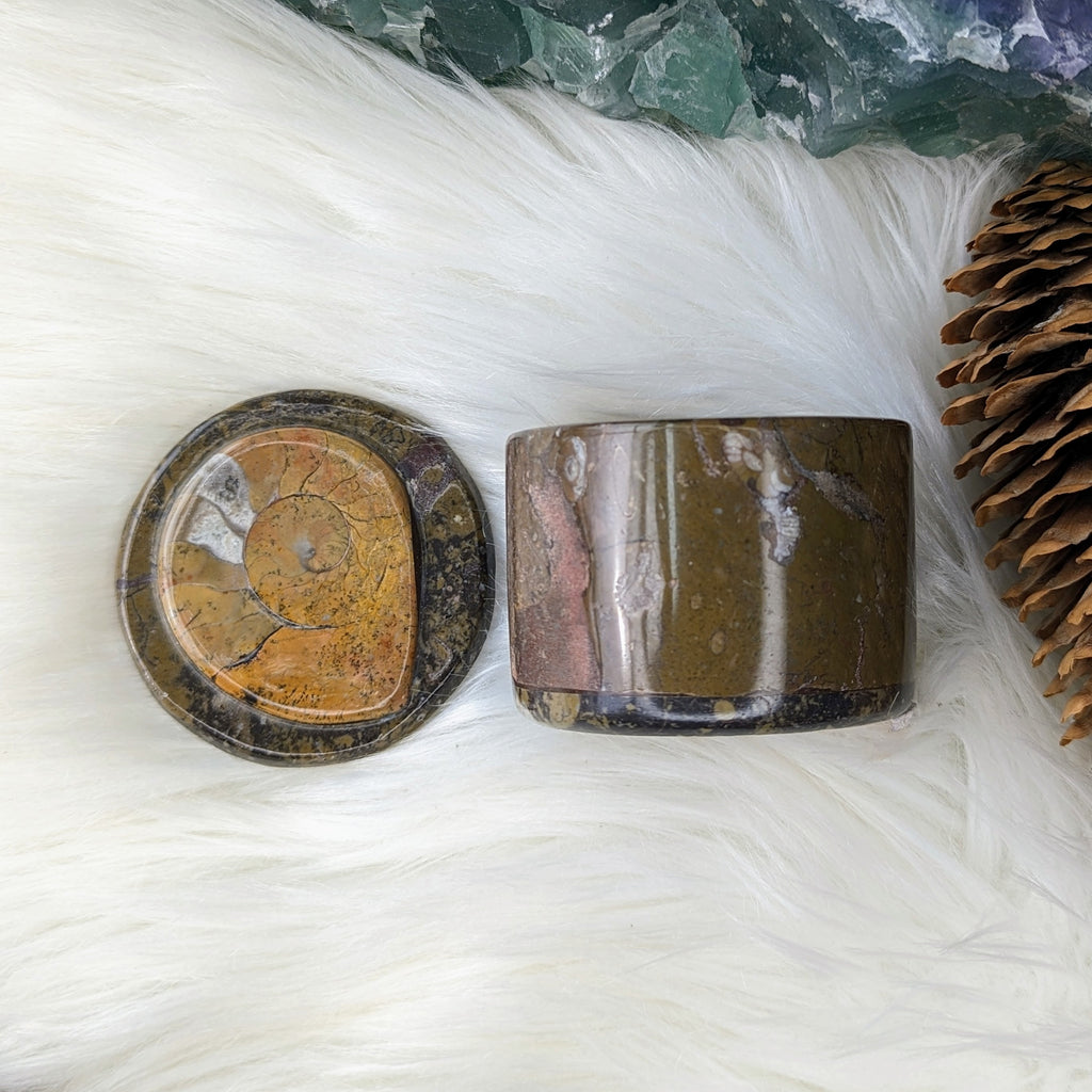 Polished Goniatite Natural Fossil Jewelry and Trinket Box~ Charge with Earth and Cosmic Healing Energies - Earth Family Crystals