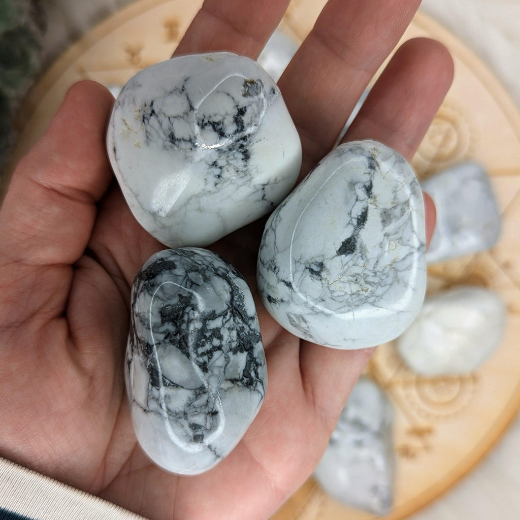 Tumbled and Beautifully Polished Howlite from South Africa ~ Set of 3 - Earth Family Crystals