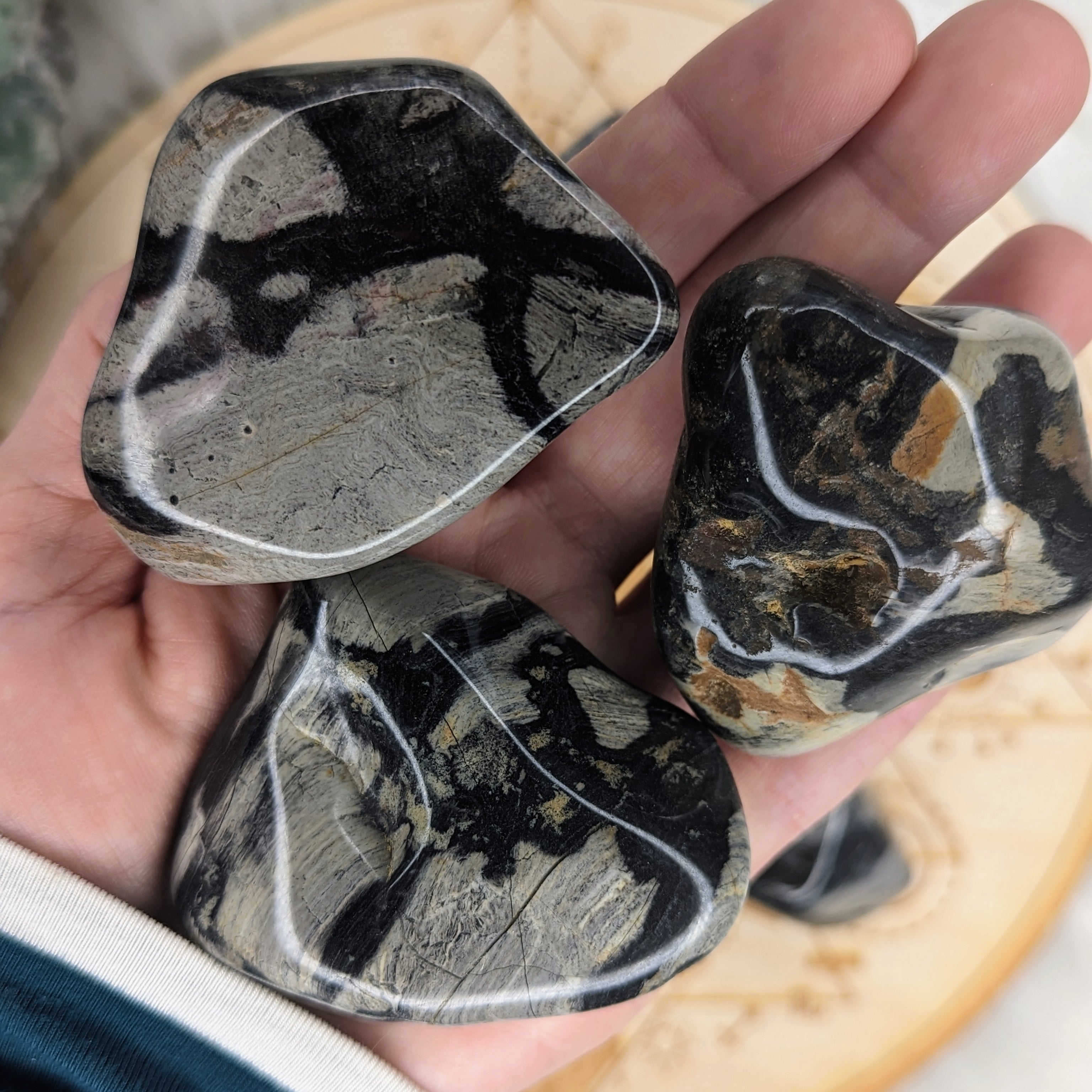 Tumbled and Beautifully Polished Silver Leaf Jasper from South Africa~ Set of 3 Palm stones - Earth Family Crystals