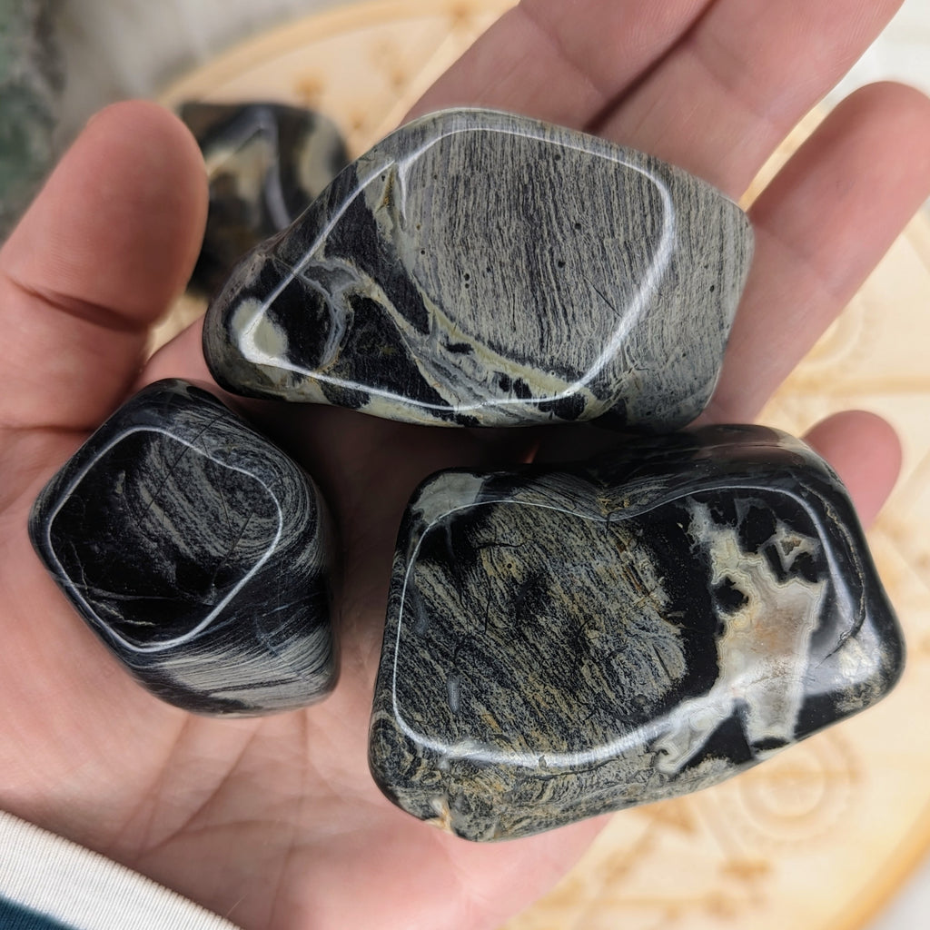 Tumbled and Beautifully Polished Silver Leaf Jasper from South Africa~ Set of 3 Palm stones - Earth Family Crystals