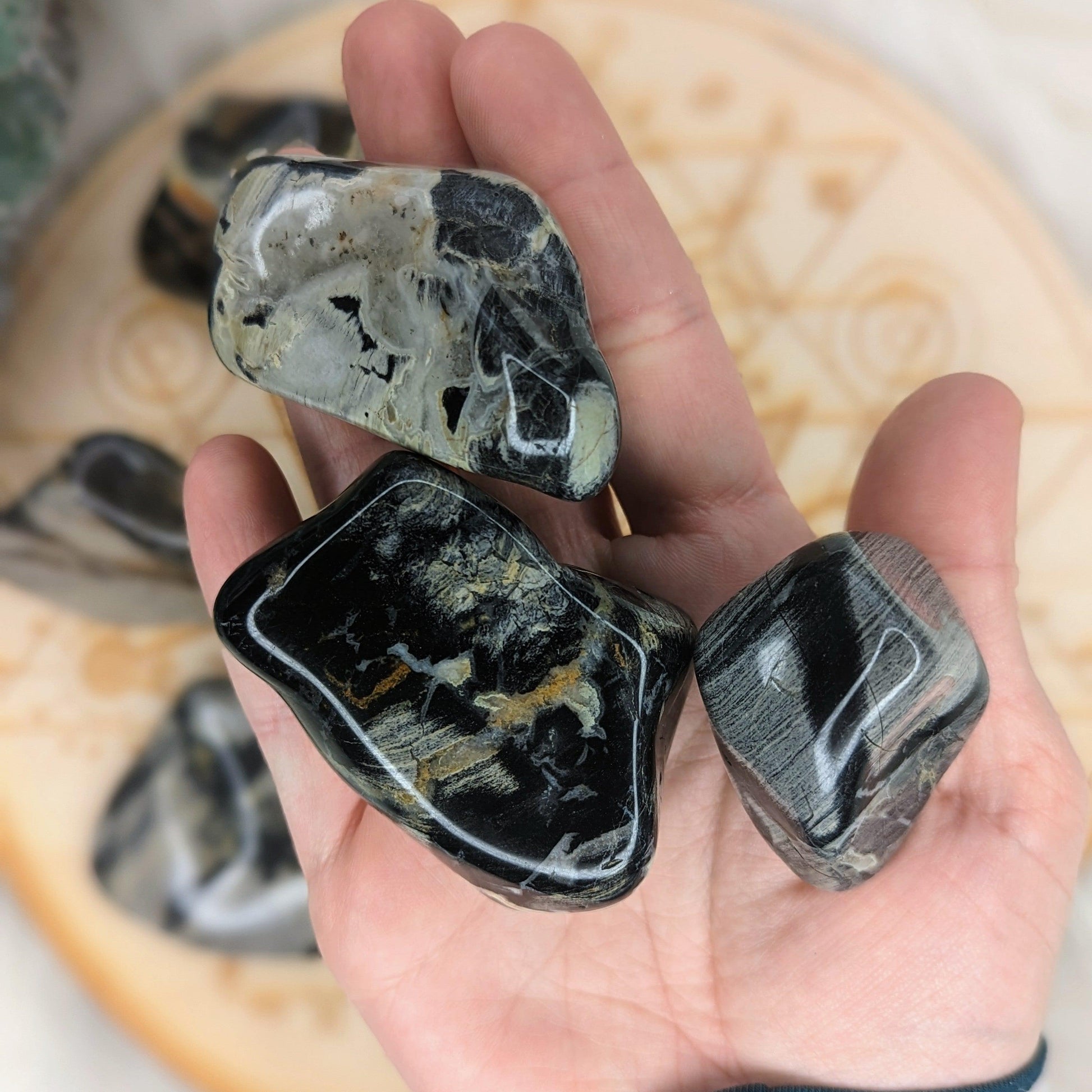 Tumbled and Beautifully Polished Silver Leaf Jasper from South Africa~ Set of 3 Palm stones - Earth Family Crystals