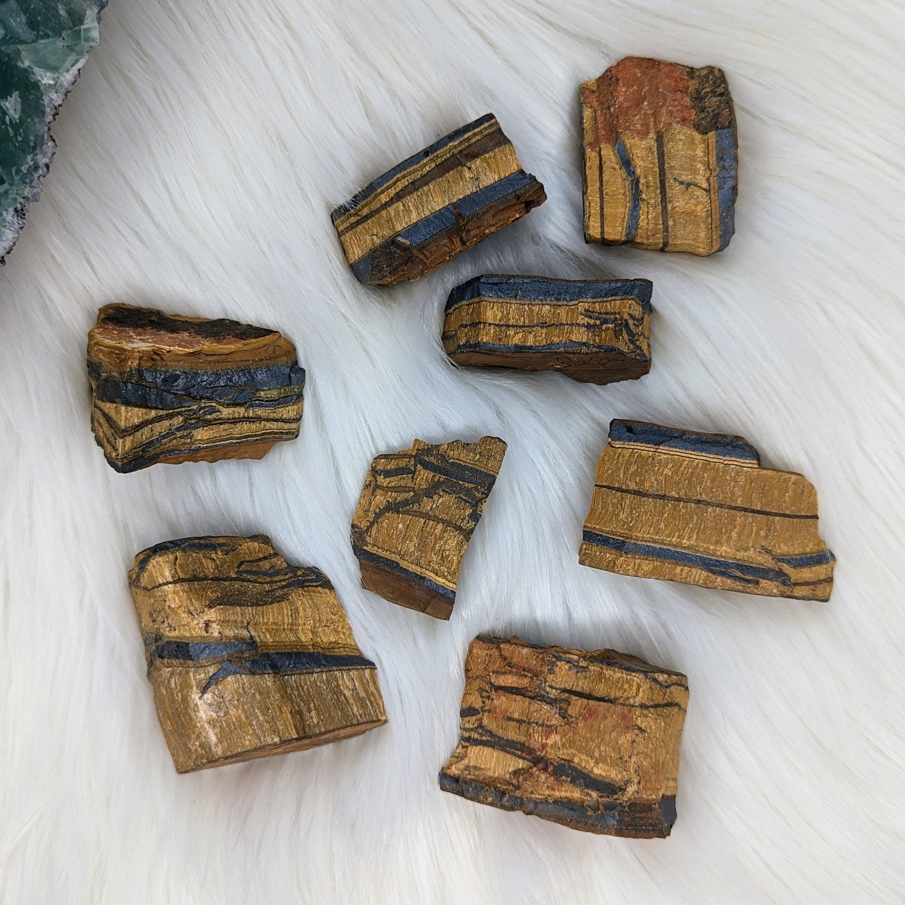 AAA Grade Raw Tigers Eye ~Set of 2 ~ Beautifully Grounding - Earth Family Crystals
