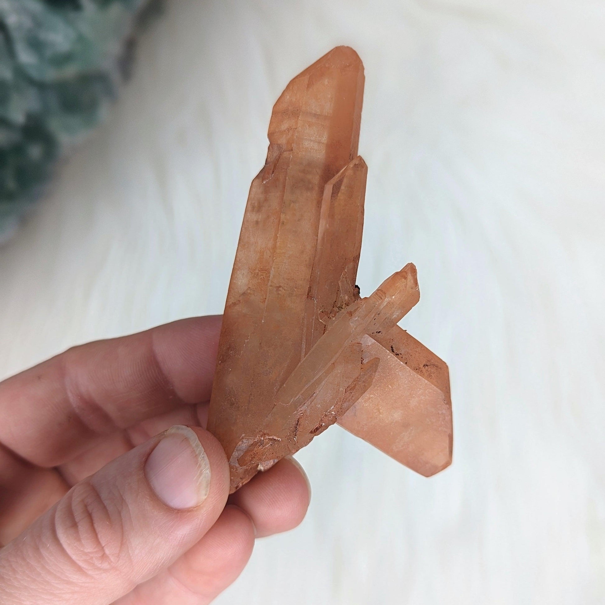 Red Hematoid Quartz Specimen Points~ Unique set of 2 - Earth Family Crystals