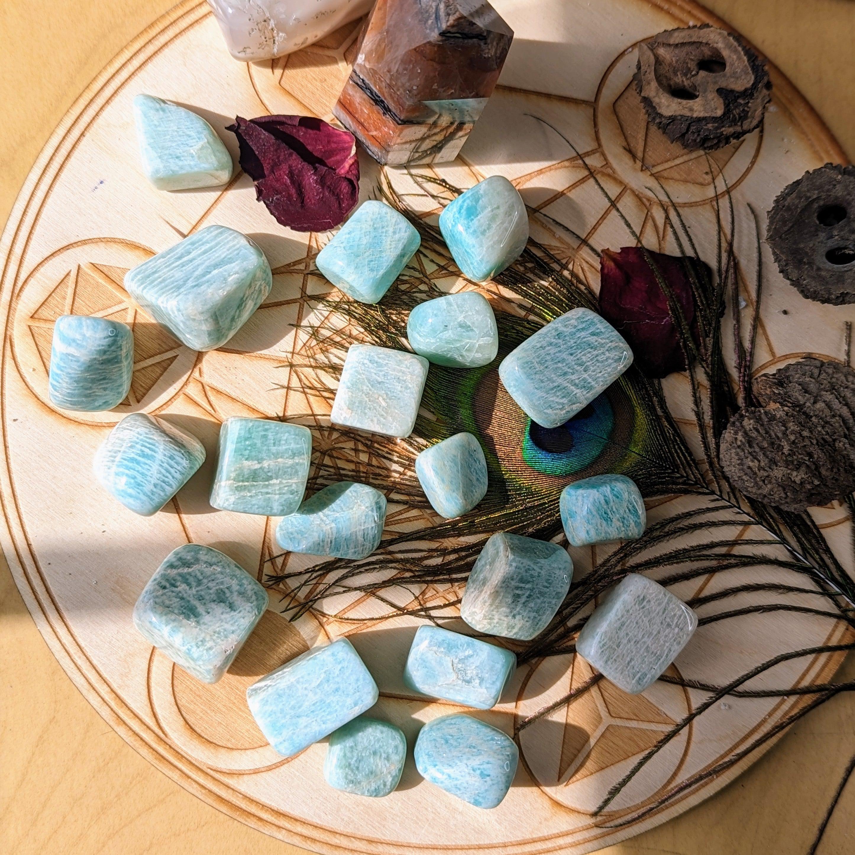 Tumbled Amazonite Set of 6 ~ from India ~ - Earth Family Crystals