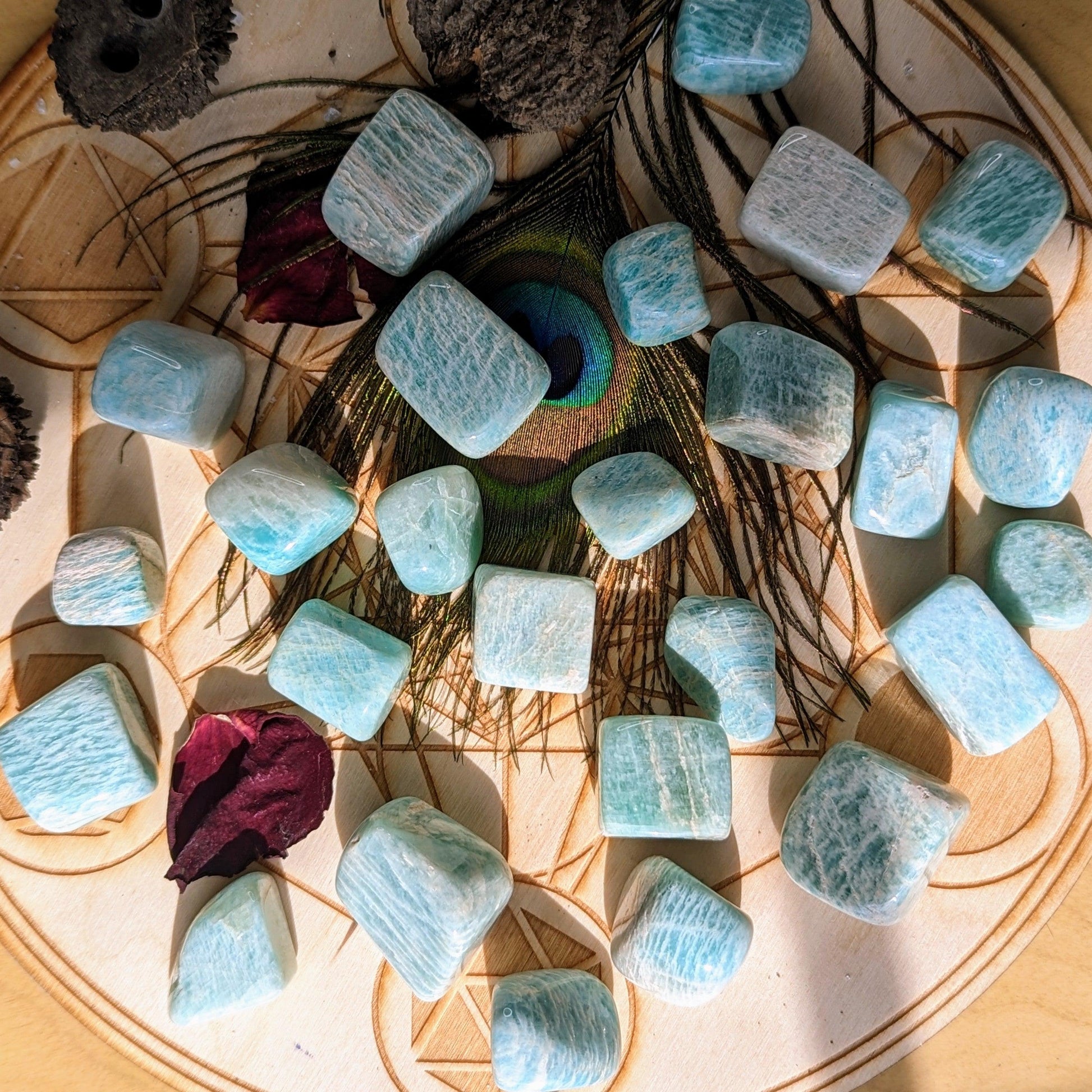 Tumbled Amazonite Set of 6 ~ from India ~ - Earth Family Crystals