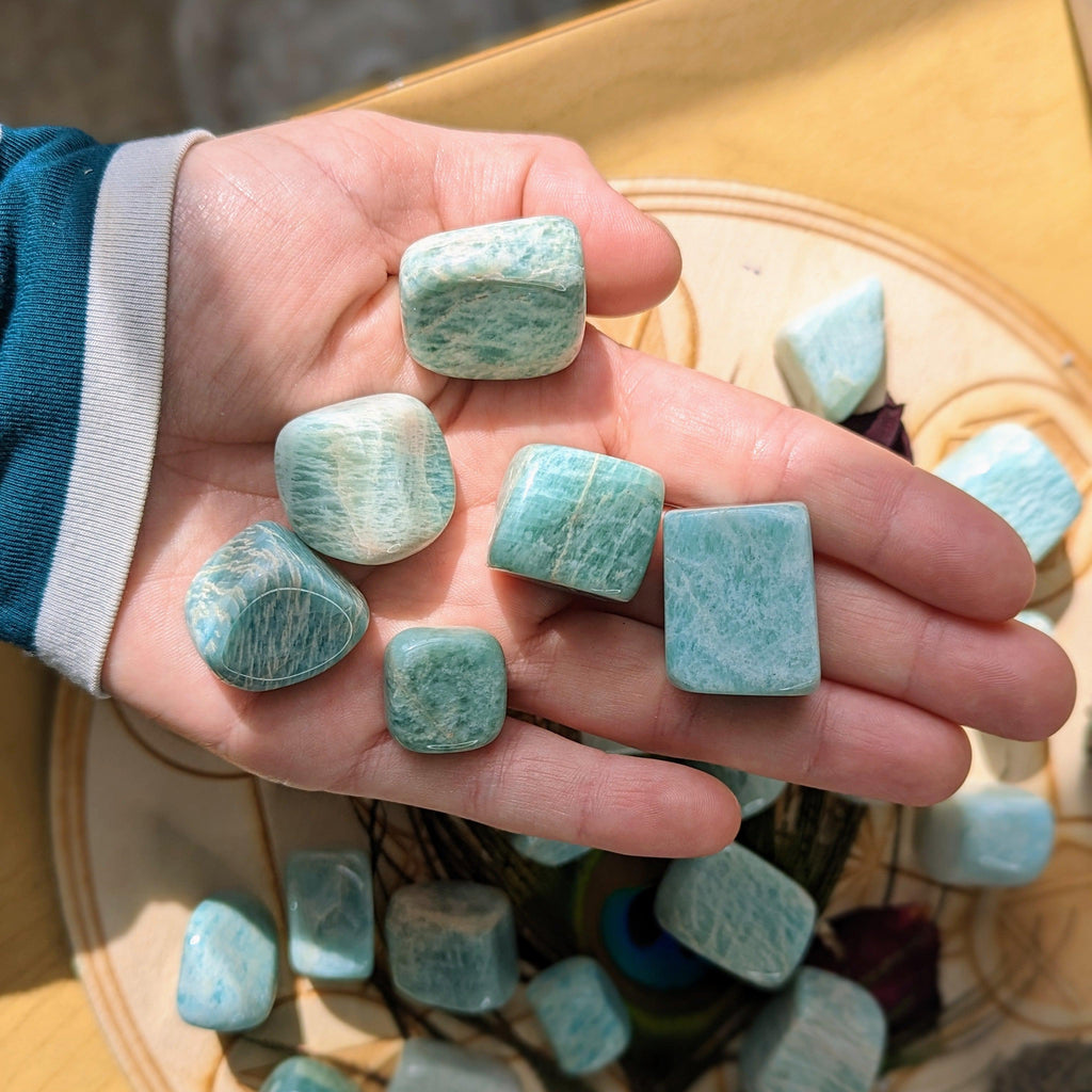 Tumbled Amazonite Set of 6 ~ from India ~ - Earth Family Crystals