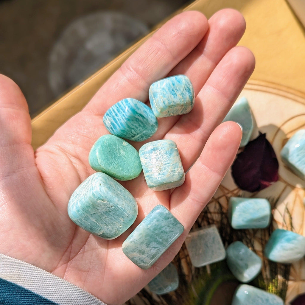 Tumbled Amazonite Set of 6 ~ from India ~ - Earth Family Crystals