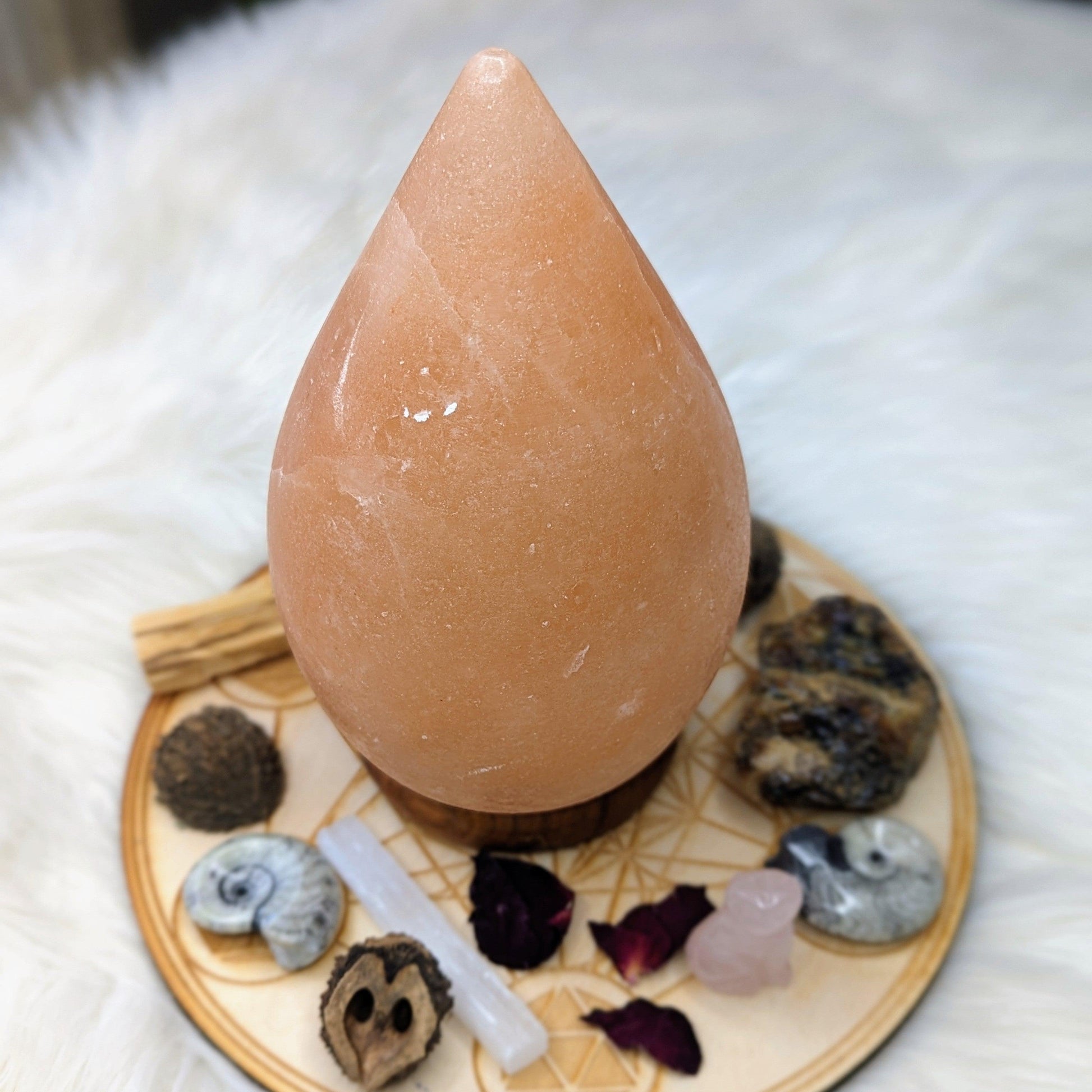 Himalayan Salt Lamp Teardrop Carving ~ Includes Cord Switch and Bulb - Earth Family Crystals