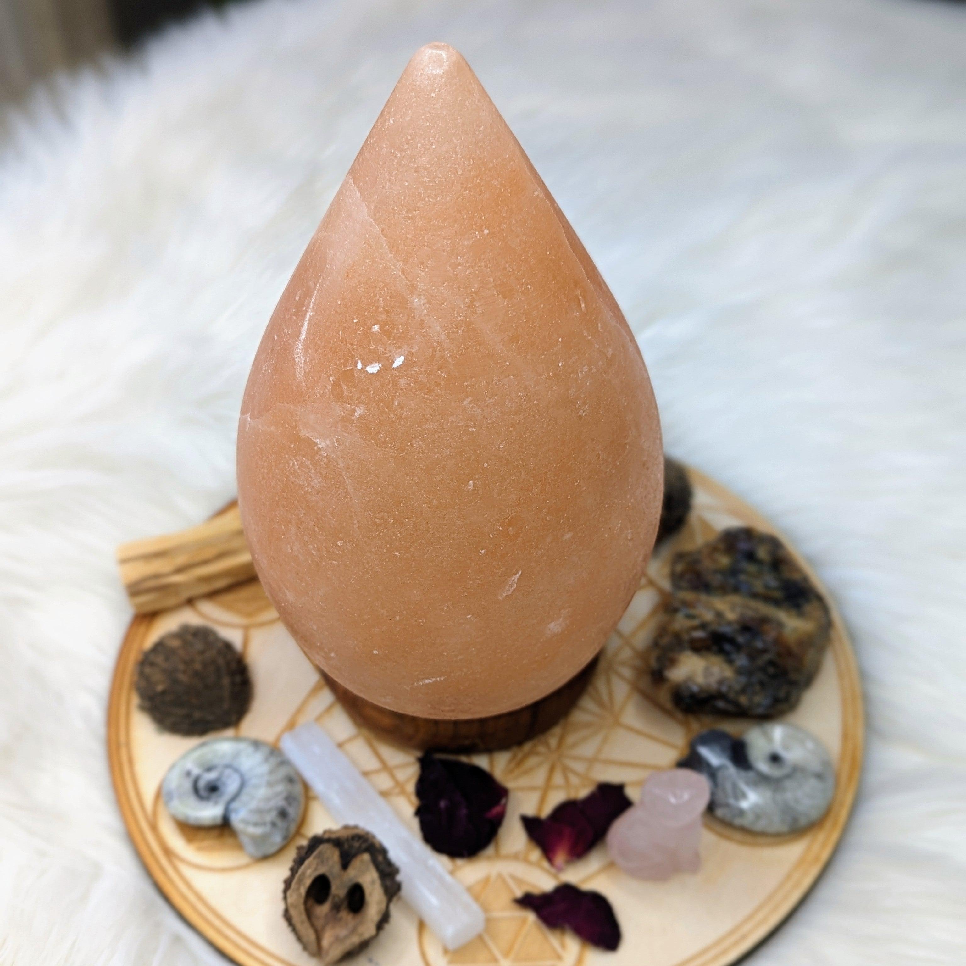 Himalayan Salt Lamp Teardrop Carving ~ Includes Cord Switch and Bulb - Earth Family Crystals