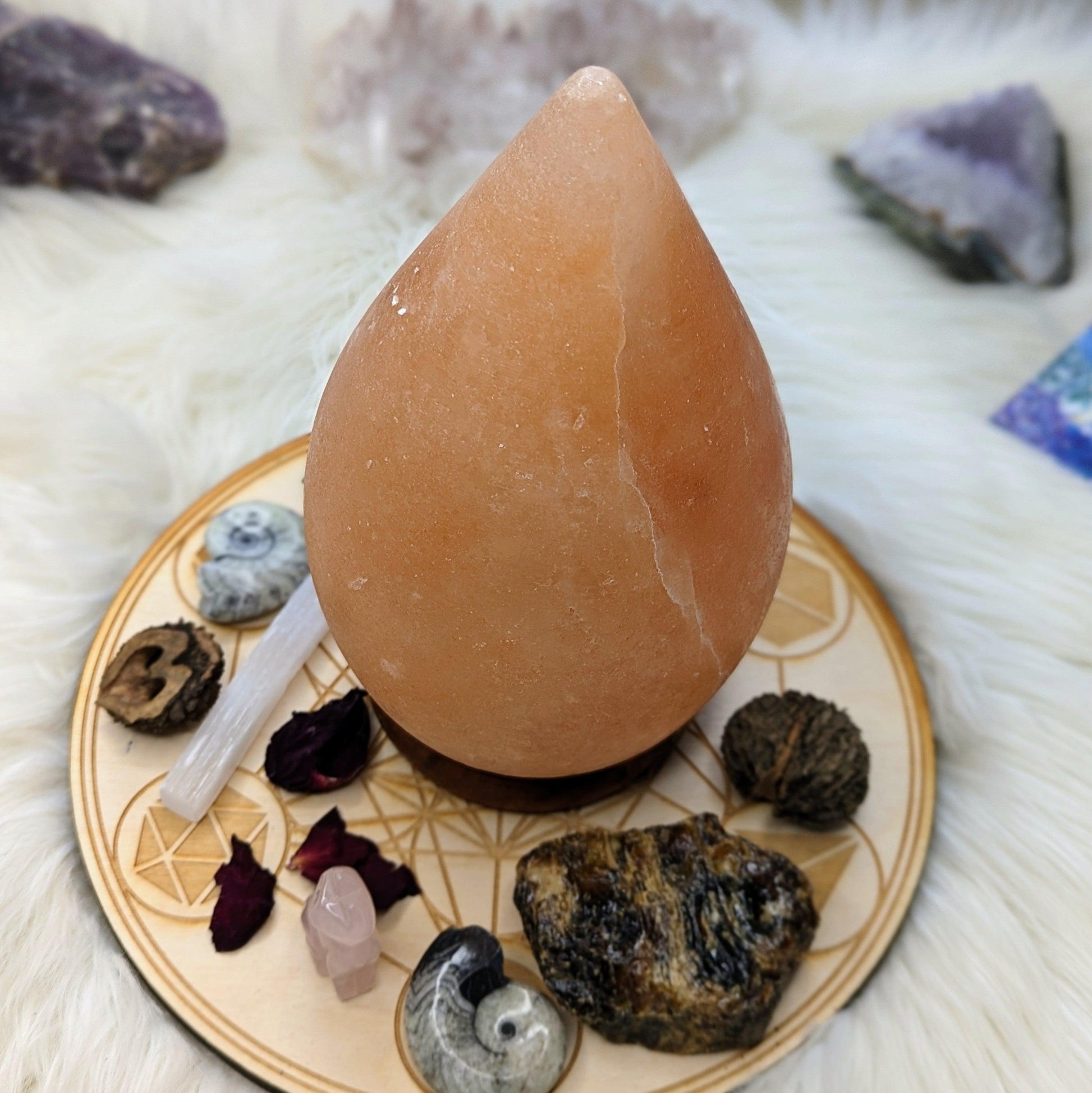 Himalayan Salt Lamp Teardrop Carving ~ Includes Cord Switch and Bulb - Earth Family Crystals